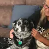 kelliebryant725 - @kelliebryant725 - TikTok