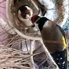 KellieCantrell - @kelliecantrelldnvxmv - TikTok