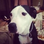 Kelly Caraway - @i_am_kelly_the_pit2012 - Instagram