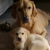 kelliecarroll4 - @kelliecarroll4 - TikTok