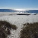 Kellie Wells - @kellie_chastain - Instagram