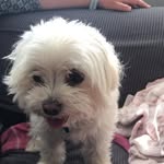 Kelly Cohen - @kellycohen2020 - Instagram