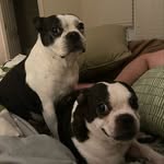 Kellie Compton Thompson - @bella_and_wyatt - Instagram