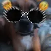 Kelly Compton - @kellyacompton - TikTok