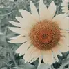 kelliemconnelly - @kelliemconnelly - TikTok
