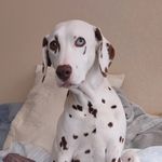 Kellie N Joseph Connolly - @bosn74josn58 - Instagram