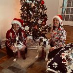 Kellie Connolly - @kellie.connolly.18 - Instagram