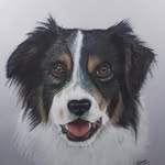 Kellie Connor Pencil Art - @kellieconnorpencilart - Instagram