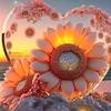 Kelly Corley - @kelly.corley - TikTok