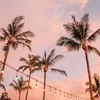 Kellie Cox - @kelliecox01 - TikTok