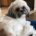 Kellie Cramer - Facebook