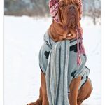 Kellie Cramer - @kritter52 - Instagram