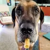 dessum_ks - @kelliecurrydessum - TikTok