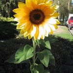 Kelly Daigle - @kelly.daigle.33 - Instagram