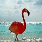 Kellie Dalton - @ladybug.37 - Instagram