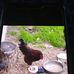 Kelly Dobbins - Facebook