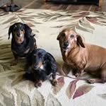 Kelly Ernst Schindler - @kellyschindler1962 - Instagram