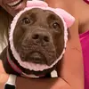 KELLI EVANS - @kellioevans - TikTok