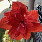 Kellie Evans - Facebook