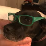 Kellie Fay - @fayk_news - Instagram