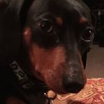 Kellie Garrett - @kellie.garrett.792 - Instagram