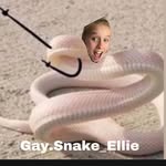 Gay.Snake_Ellie - @g.gaysnakellie - Instagram