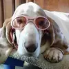 Kelli Gilmore - @kelli.gilmore0 - TikTok