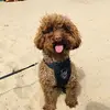kelliegranger47 - @kelliegranger47 - TikTok