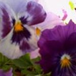 Kellie Greer - @greerkellie - Instagram