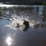 Kellie Griffin - @zeusandkia461 - Instagram