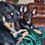 Kellie Griffith - @bosox68 - Instagram