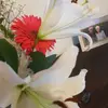 Kellie Hess - @kelliehess0 - TikTok