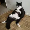 kelliehilton213 - @kelliehilton213 - TikTok