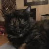 kellie hodge :) - @kellie.hodge - TikTok