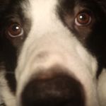 Kellie Holt - @kellieholt86 - Instagram