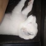Kellie holt - @kellie_bear1234 - Instagram