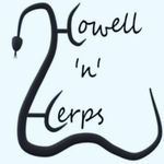 Kellie Howell - @howellnherps - Instagram