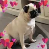Kellie Hull - @kellie.hull85 - TikTok