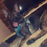 Kelly Hurley - @kellyhurley44 - Instagram