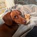 Kelli Iverson - Facebook