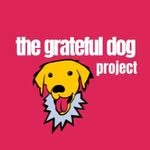 Kelli Jacobson, Alex Jacobson CPDT-KA - @thegratefuldogproject - Instagram