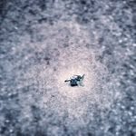 Kellie Jacobson - @greycasualever - Instagram
