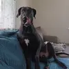 Kellie Jacobson - @kellie.jacobson - TikTok