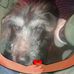 Kellie Jones - Facebook