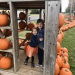 Kellie Jenkins - @kellieejenkins - Instagram