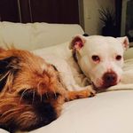 Kellie Johnston - @letterkellie - Instagram