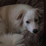 Kellie Joyce Walsh - @kelliejoycewalsh - Instagram
