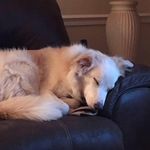 Kellie Joyce Walsh - @walsh.kellie - Instagram