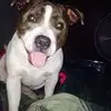 Kellie Kane - @kelliekane2 - TikTok