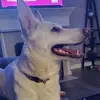Kellie Turner Keaton - @kelliekeaton74 - TikTok